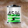 Top Android Widget: Battery Widget