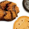 Girl Scout Cookie Locator Android App